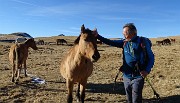 Pizzo Baciamorti e Monte Aralalta con giro ad anello da Capo Foppa di Pizzino l’8 dic. 2016 - FOTOGALLERY